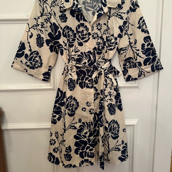 Zara Dress - Picture 2 of 4